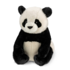 Borealis Hui Ying Panda 12In