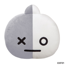 BT21 VAN Cushion