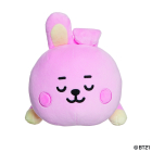 BT21 COOKY Baby Mini Pillow Cushion