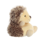 PP Hedgie Hedgehog 5In