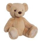 Eco Nation Teddy Bear 9In