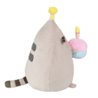 Birthday Party Pusheen 9In