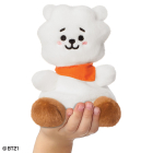 BT21 RJ Palm Pal 5In