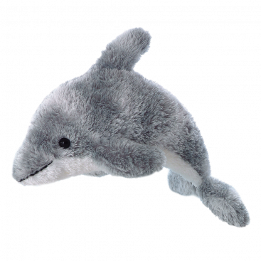 Dolphin