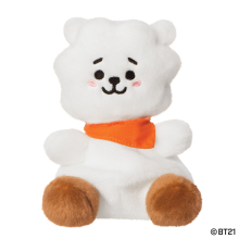BT21 RJ Palm Pal 5In