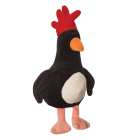 Feathers Mcgraw