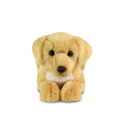 Borealis Bertie Labrador 20In