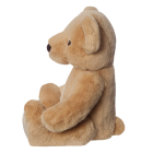 Eco Nation Teddy Bear 9In