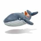The Snail and the Whale
