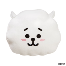 BT21 RJ Cushion