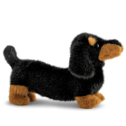 Borealis Koda Dachshund 15In