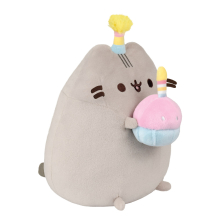 Birthday Party Pusheen 9In