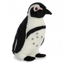 DN African Penguin 12In