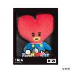 BT21 TATA Plush Md