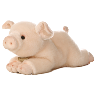 Pig