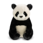 Borealis Hui Ying Panda 12In