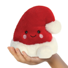 PP Topper Santa Hat 5In