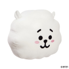 BT21 RJ Cushion