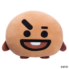 BT21 SHOOKY Cushion