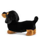 Borealis Koda Dachshund 15In