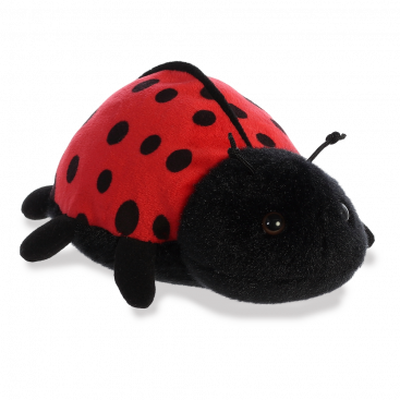 Ladybird