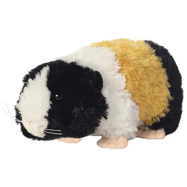 Guinea Pig