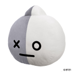 BT21 VAN Cushion