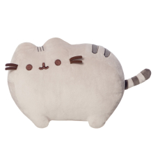 Classic Pusheen 9.5In