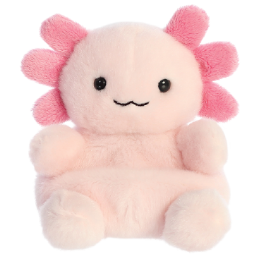 Axolotl