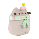 Cozy Winter Pusheen