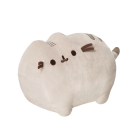 Classic Pusheen 9.5In