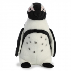 DN African Penguin 12In