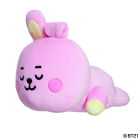 BT21 COOKY Baby Mini Pillow Cushion