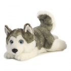 MiYoni Husky Lying 11In