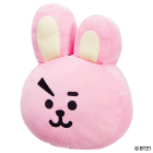 BT21 COOKY Cushion